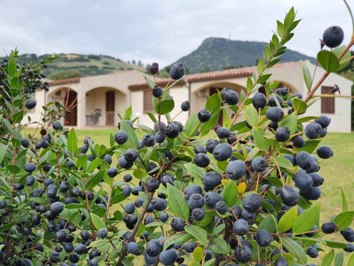 la-casa-di-spinosella-cazare-cu-piscina-sardinia-italia-locatie