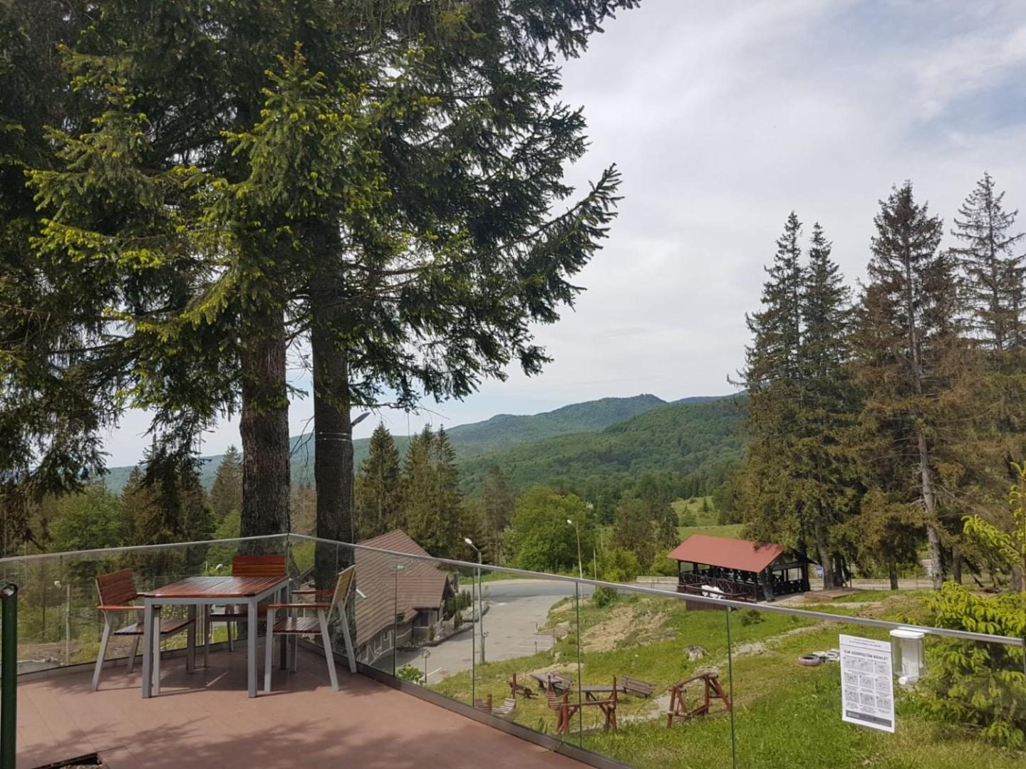 Grădina și priveliștea spre munte de la Complex Hotelier COTA O MIE, Sinaia Grădina și priveliștea spre munte de la Complex Hotelier COTA O MIE, Sinaia
