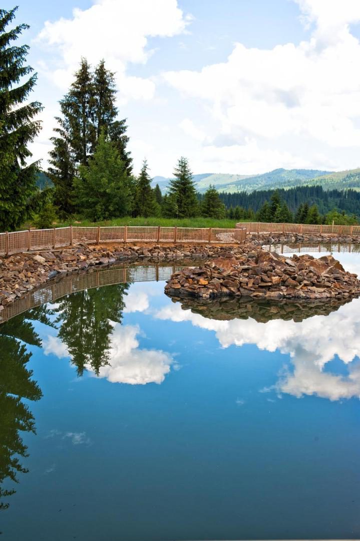 Domeniul Dornei – lacul privat al proprietății Domeniul Dornei – lacul privat al proprietății