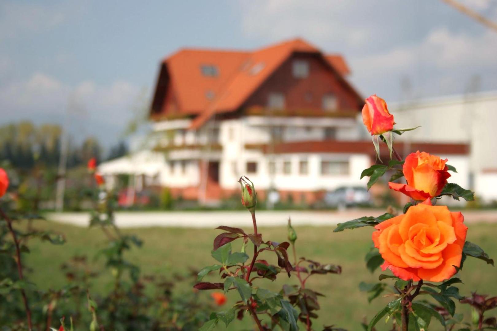 Clădirea GARDEN Club Hotel & Restaurant din Brașov, cu grădina de trandafiri Clădirea GARDEN Club Hotel & Restaurant din Brașov, cu grădina de trandafiri