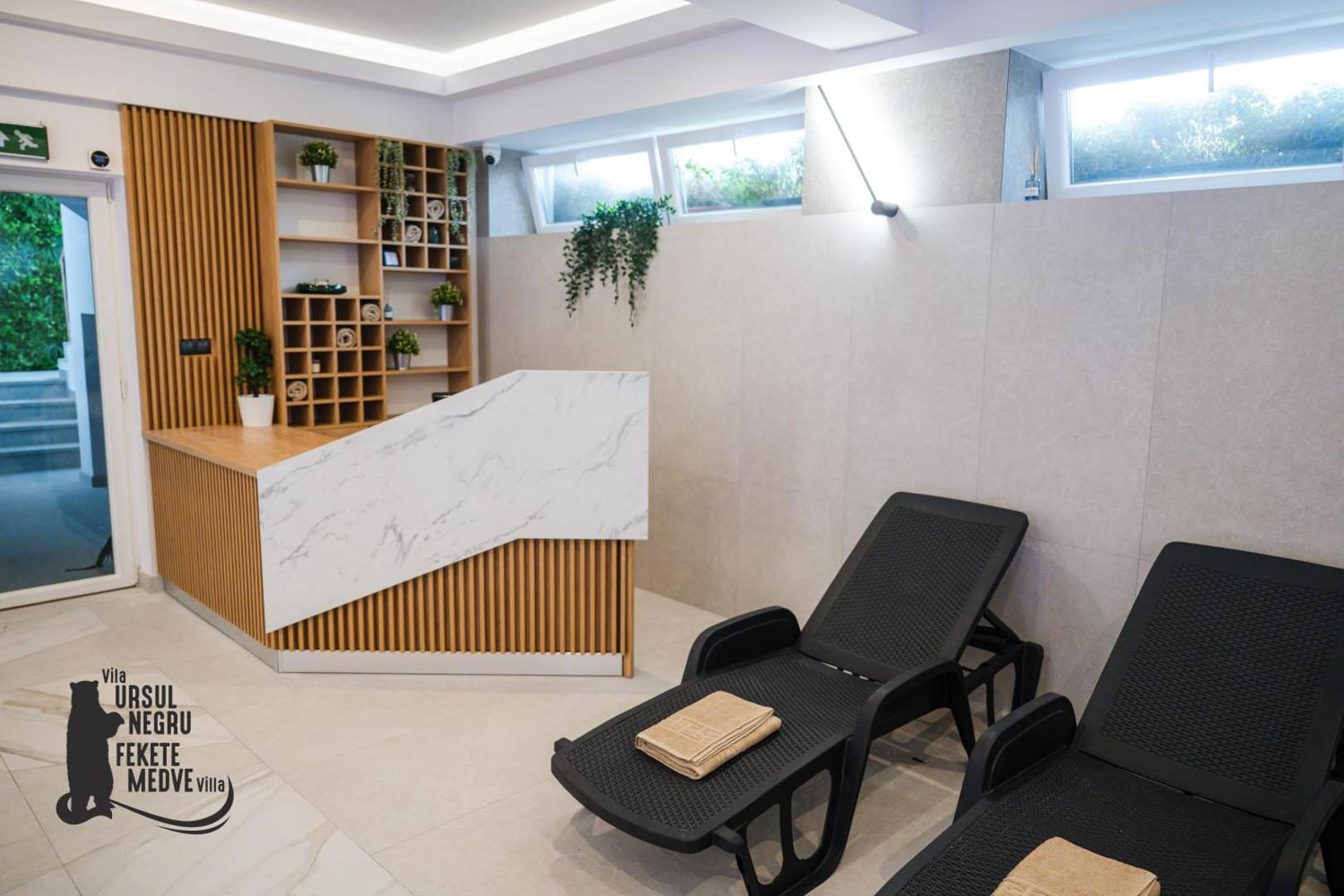 Vila Ursul Negru – zonă de wellness cu șezlonguri Vila Ursul Negru – zonă de wellness cu șezlonguri