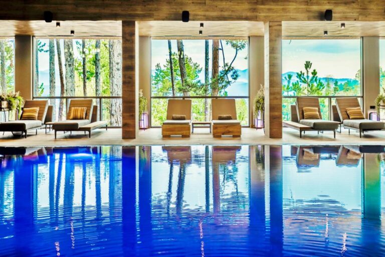 Kashmir Wellness & SPA – piscina interioară cu vedere spre pădurea de pini