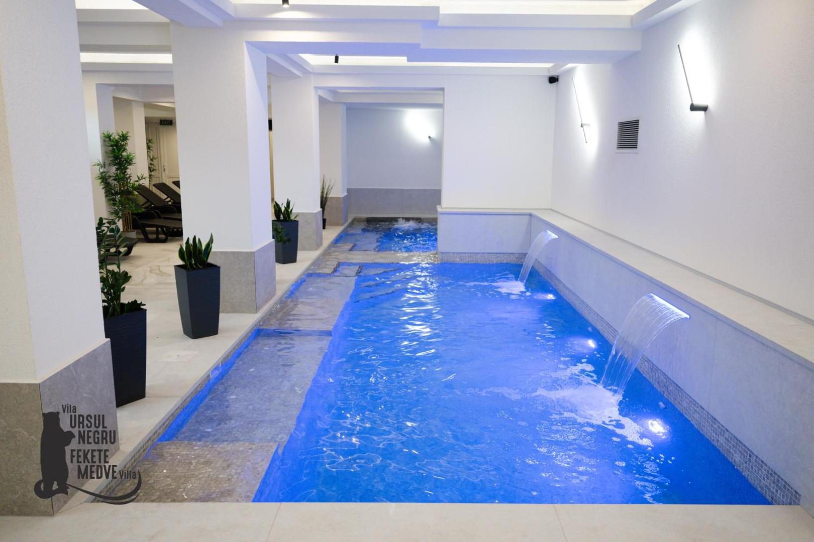 Vila Ursul Negru – piscină interioară încălzită cu apă sărată