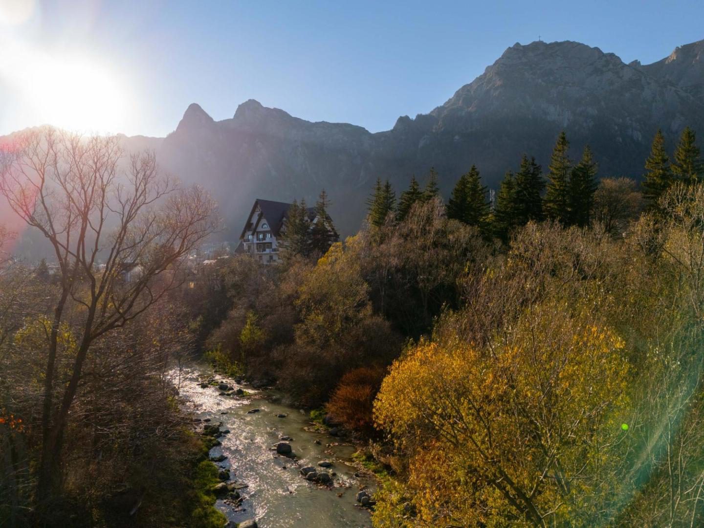 Peisaj montan în apropierea hotelului Valedor din Bușteni Peisaj montan în apropierea hotelului Valedor din Bușteni