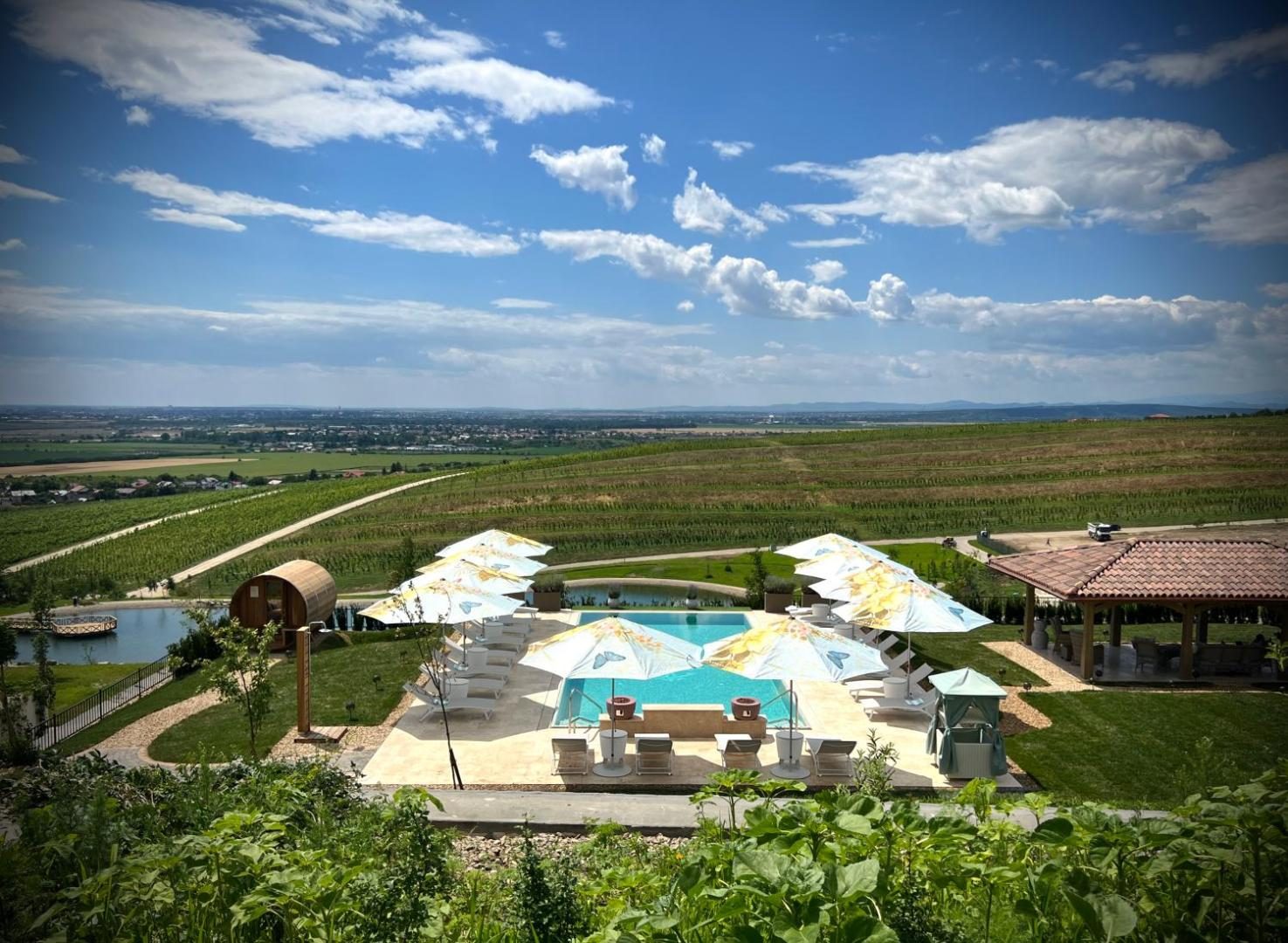 Casa Timiș - Wellness & Spa Resort - piscina și zona de șezlonguri Casa Timiș - Wellness & Spa Resort - piscina și zona de șezlonguri