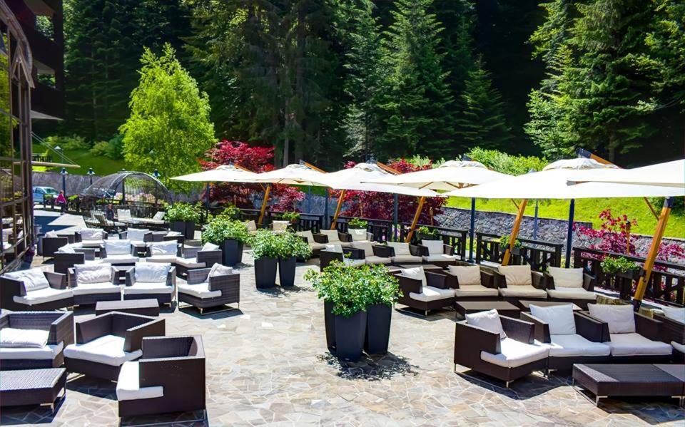 Lux Garden Hotel – terasa cu șezlonguri și umbrele, vara Lux Garden Hotel – terasa cu șezlonguri și umbrele, vara