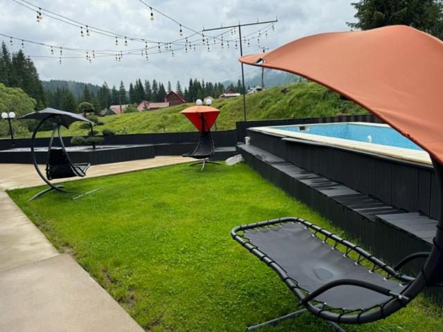 Transylvania House – al doilea bazin exterior, în grădina cu șezlonguri Transylvania House – al doilea bazin exterior, în grădina cu șezlonguri
